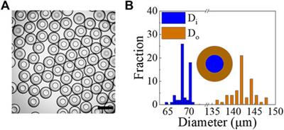 Simple One-Step and Rapid Patterning of PDMS Microfluidic Device Wettability for PDMS Shell Production
